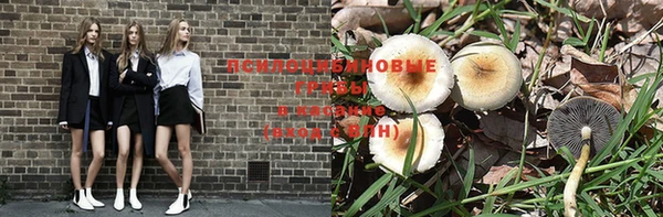 бошки Абинск