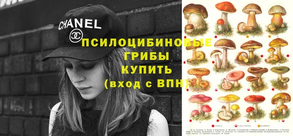 бошки Абинск