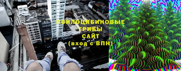 бошки Абинск