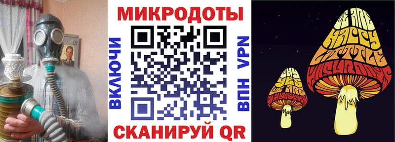 цена наркотик  Кировград  Псилоцибиновые грибы Magic Shrooms 
